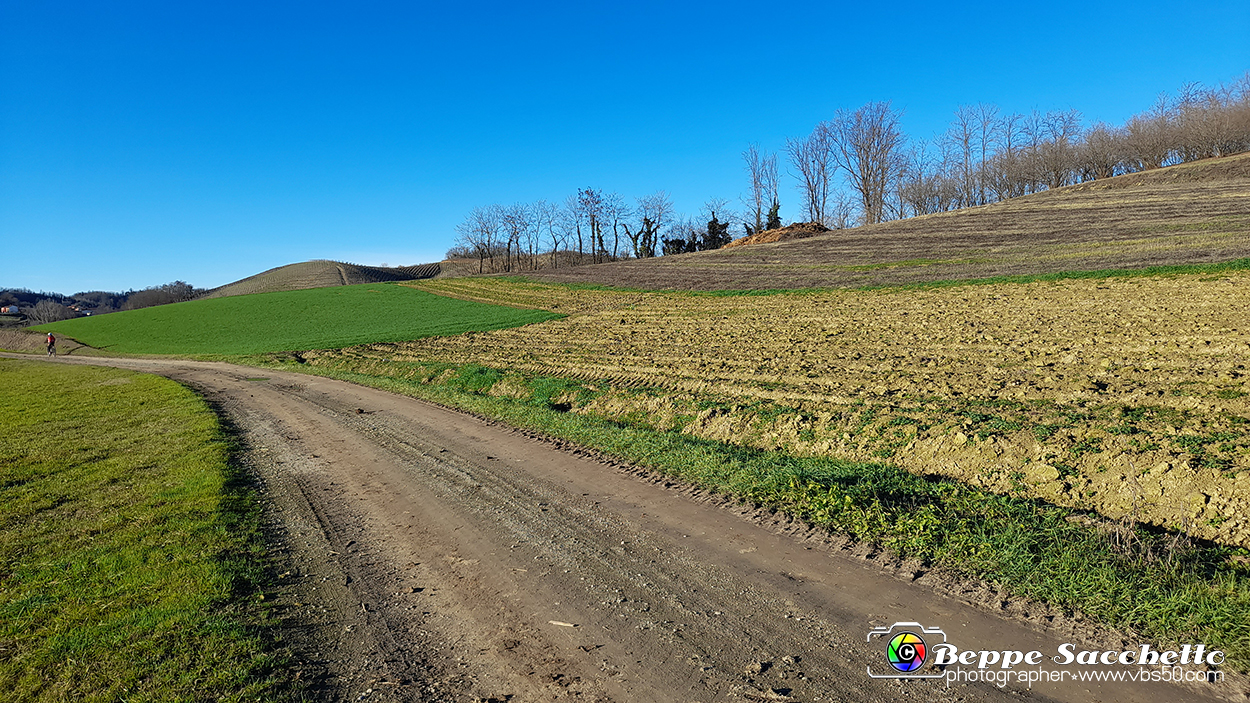 20230110_150818 - Dalla terra... il grano.jpg